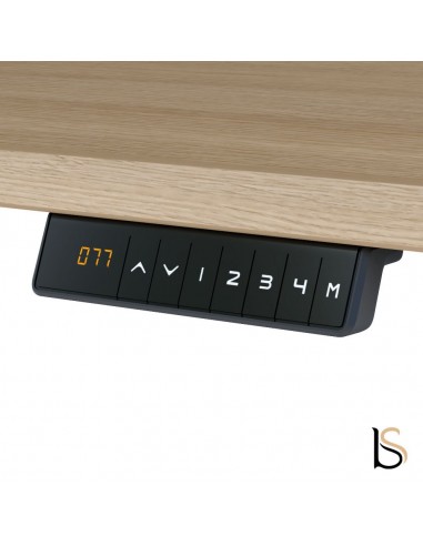 Bureau Bench réglable en hauteur TRAM...