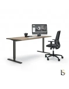 Bureau réglable en hauteur manuel pas cher. Quadrifoglio - Idea Tube