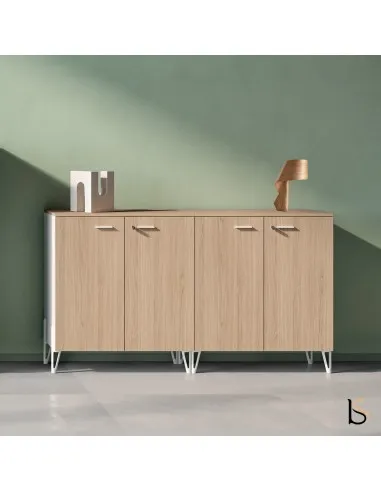 Armoire de rangement avec 4 portes battantes, fermeture à clé.