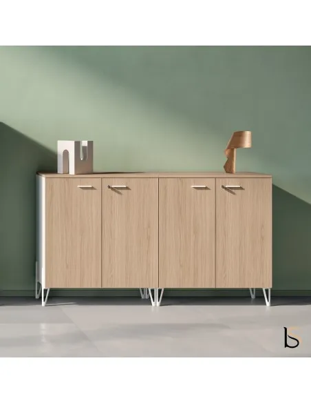 Armoire de rangement avec 4 portes battantes, fermeture à clé.