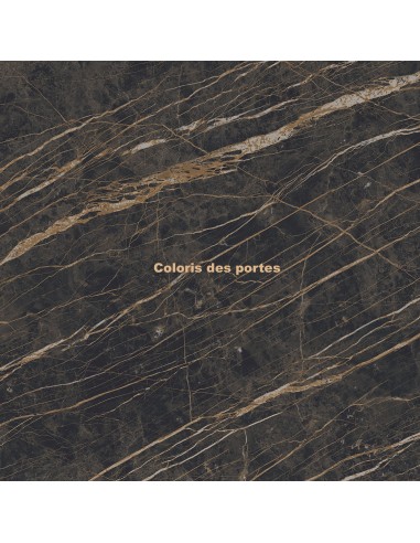 coloris noir brillant