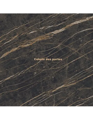 coloris noir brillant
