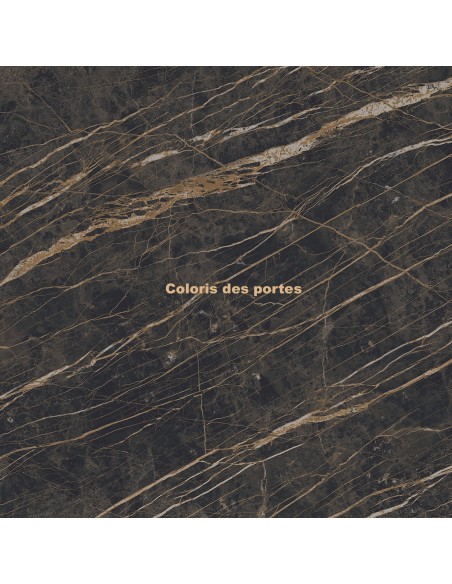 coloris noir brillant