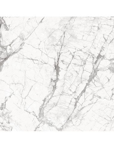 céramique blanc veiné