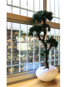 plante-artificielle-design-podocarpus-tanamam