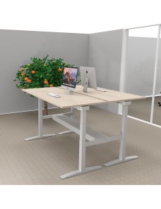 Bureau 2 personnes avec réglage en hauteur, plateau coloris acacia clair, pieds métal coloris gris aluminium