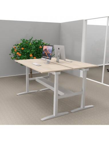 Bureau 2 personnes avec réglage en hauteur, plateau coloris acacia clair, pieds métal coloris gris aluminium