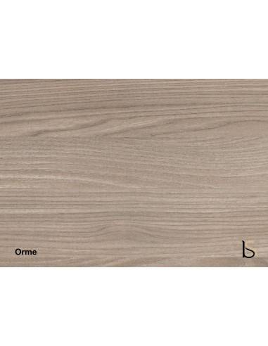 Bureau de direction T45 version...