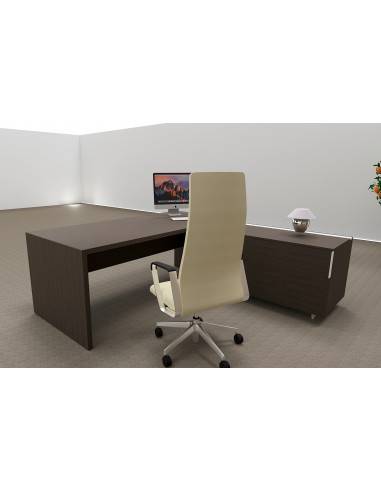 vue arriere Bureau direction T45 quadrifoglio credence a droite coloris eucalyptus
