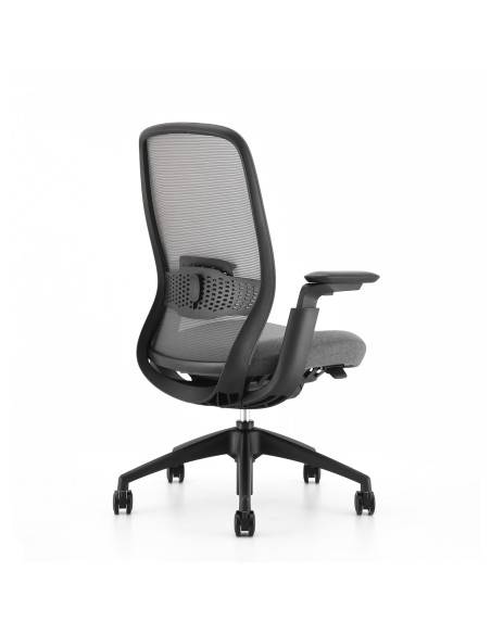 fauteuil de bureau ergonomique, confort, réglable, support lombaire, résille, mousse injectée