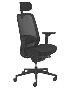 siege-ergonomique-maintien-lombaire-noir 2