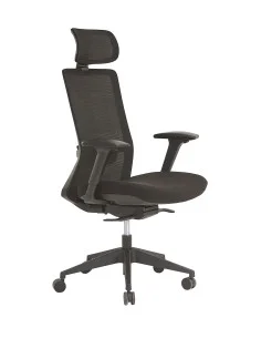 fauteuil-ergonomique-noir-haute-qualite-support-lombaire 2