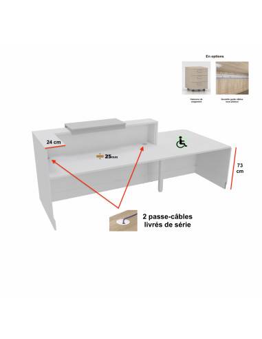 vue arriere bureau accueil professionnel delta mobel linea avec acces pmr