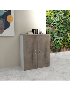 armoire de bureau a portes battantes avec serrure, hauteur 121 cm mur vegetalise