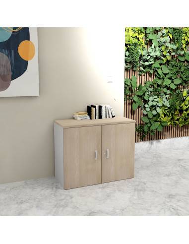 photo armoire 81 cm mur coloris acacia clair et gris alu