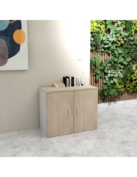 photo armoire 81 cm mur coloris acacia clair et gris alu