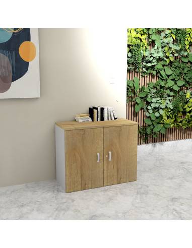 photo armoire 81 cm mur coloris chene veine et gris alu