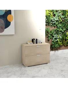 armoire-basse-deux-tiroirs-dossiers-suspendus-professionnelle-mobellinea-serie-tak 2