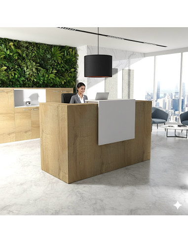 Banque d'accueil moderne avec mur végétal et secrétaire souriante - Bureau Store - Delta - Mobellinea