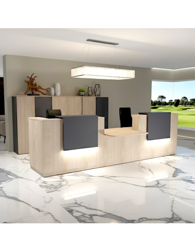 comptoir-accueil-2-personnes-acces-pmr-delta-mobellinea-coloris-acacia-clair-gris-anthracite-banque-accueil-lumineuse