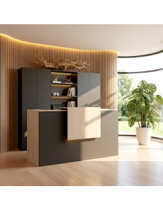 banque-accueil-1-personne-bicolore-mobellinea-delta-rehausse-decorative-éclairage-LED