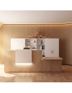 banque-accueil-personne-handicapee-droite-delta-mobellinea-acacia-clair-rehausse-lumineuse-led copie