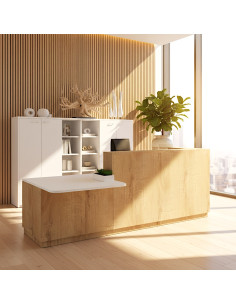 comptoir-accueil-pmr-gauche-bicolor-delta-mobellinea