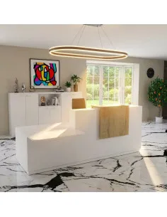 Comptoir d'accueil Design & Ergonomique : La solution idéale pour Cabinets Médicaux