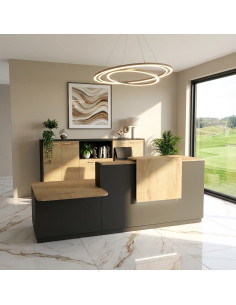 banque accueil delta avec acces pmr a gauche et rehausse et plateaux chene veine mobel linea coloris noir