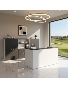 bureau-reception-accueil-entreprise-pas-cher-delta-mobel-linea-une-personne-noir-et-blanc