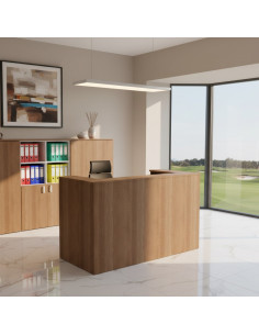 bureau-accueil-1-personne-delta-mobellinea-acacia-fonce