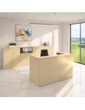 Bureau d'accueil Delta First monocolor - Mobel Linea