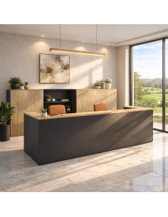 banque-accueil-pas-chere-delta-mobel-linea-2-personnes-coloris-noir-chene-veine