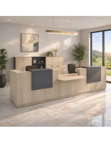 comptoir-accueil-professionnel-2-personnes-avec-acces-bas-pmr-delta-mobel-linea-coloris acacia-clair-facade-anthracite