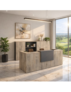 bureau-accueil-2-places-delta-mobellinea-coloris-chene-gris-facade-anthracite