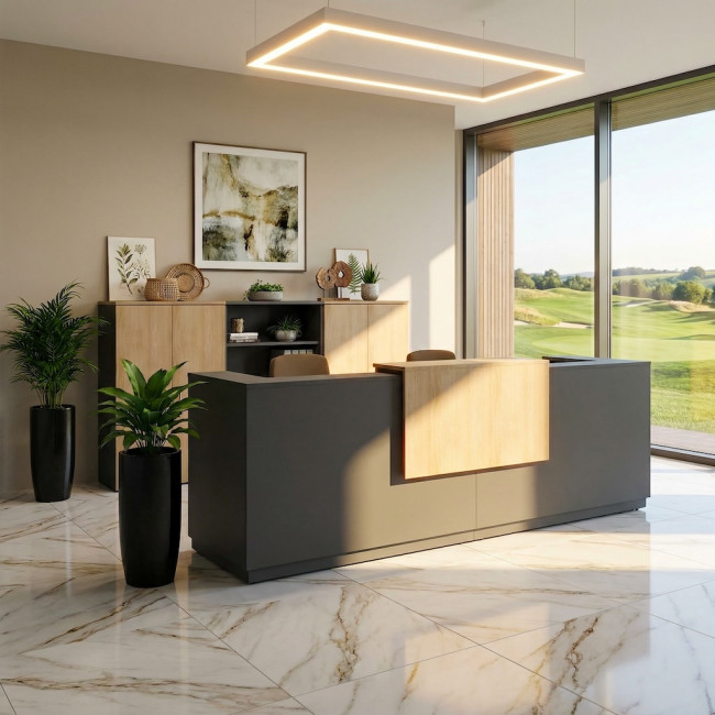 comptoir-accueil-professionnel-2-places-delta-mobellinea-coloris-anthracite-facade-lumineuse-acacia-clair