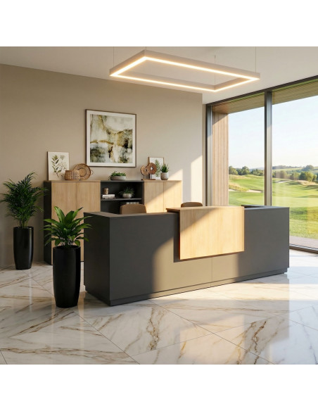 comptoir-accueil-professionnel-2-places-delta-mobellinea-coloris-anthracite-facade-lumineuse-acacia-clair