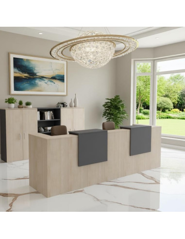 bureau-accueil-2-places-delta-mobellinea-coloris-acacia-clair-facades-anthracite