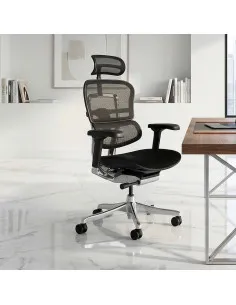 Fauteuil Ergonomique de Bureau EHE2