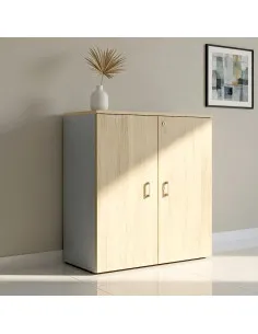 armoire de bureau a portes battantes avec serrure, hauteur 121 cm mur vegetalise 2