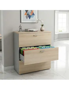 Armoire de Bureau : Classeur Professionnel 3 Tiroirs pour Dossiers Suspendus