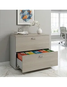 Classeur de Bureau Compact : Rangement Professionnel 2 Tiroirs pour Dossiers Suspendus
