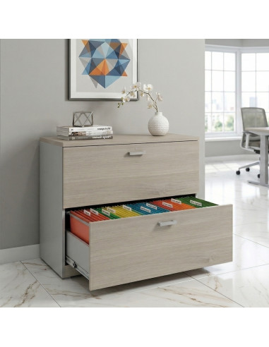 meuble-professionnel-2-tiroirs-dossiers-suspendus-mobel-linea-coloris-gris-alu-acacia-clair