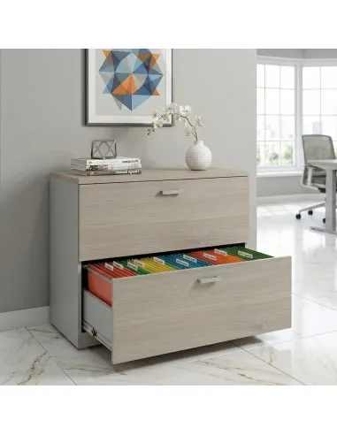 meuble-professionnel-2-tiroirs-dossiers-suspendus-mobel-linea-coloris-gris-alu-acacia-clair