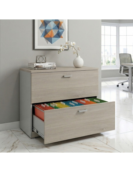 meuble-professionnel-2-tiroirs-dossiers-suspendus-mobel-linea-coloris-gris-alu-acacia-clair