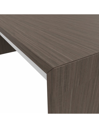 detail-angle-plateau-bureau-direction-T45-quadrifoglio-eucalypus