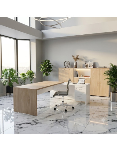 vue arriere bureau manager avec retour droite T45 quadrifoglio vue face coloris orme