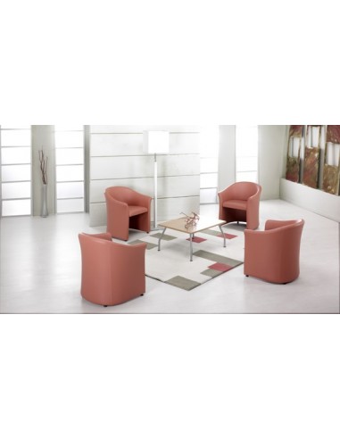 Bridge de réception ARCA - Sokoa