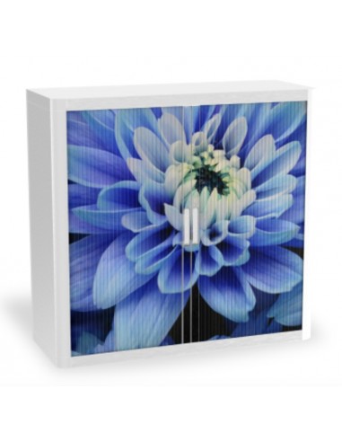 Armoire à rideaux avec décor nature – EasyOffice.