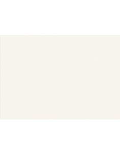 Voile de fond mélaminé pour bureaux X5 - Officity 2